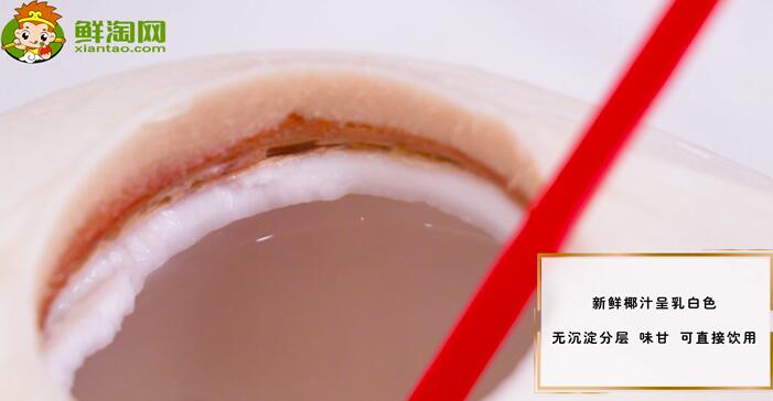 椰子汁什么顏色口味