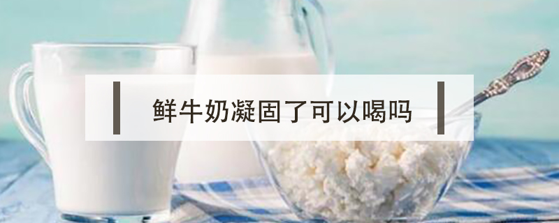 鮮牛奶凝固了可以喝嗎
