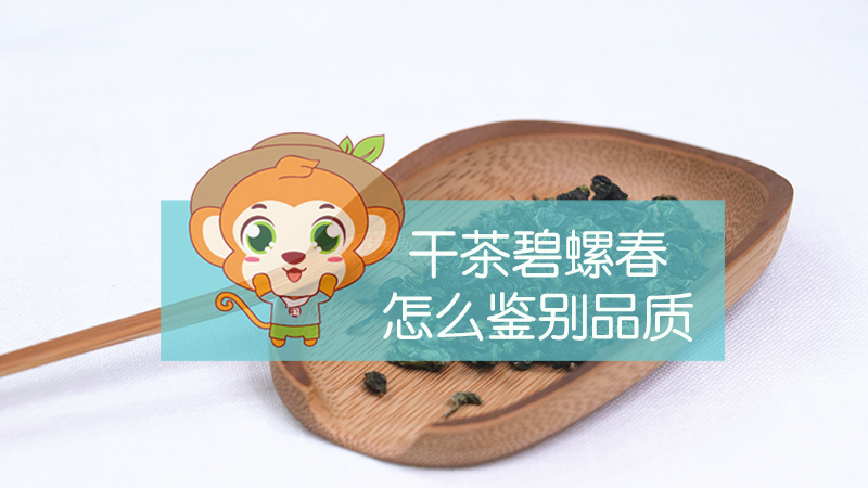 干茶碧螺春怎么鑒別品質