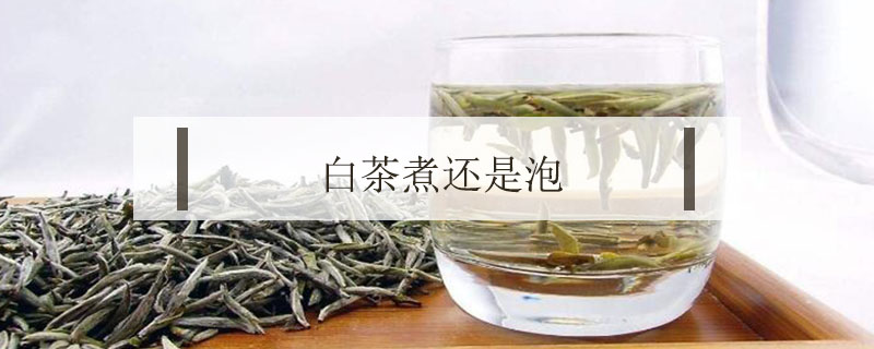 白茶煮還是泡
