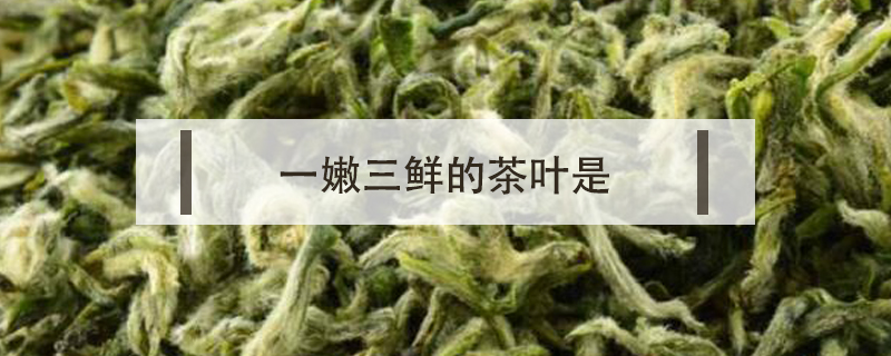 一嫩三鮮的茶葉是