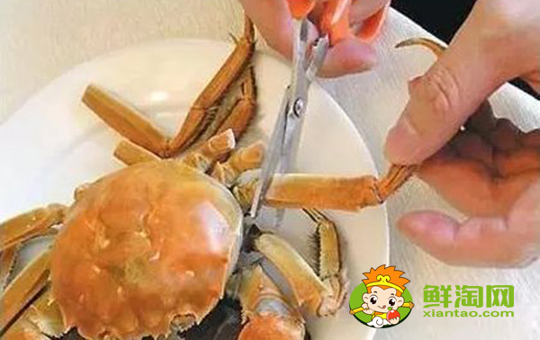 螃蟹哪里不能吃高清圖,螃蟹的吃法剝法圖解