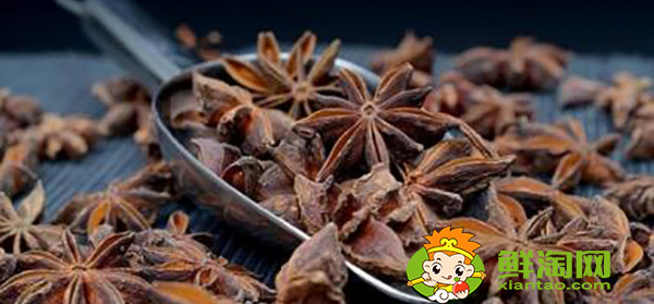 八角茴香油是中藥嗎，八角油提煉方法
