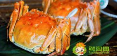 陽澄湖大閘蟹上市季節(jié)，陽澄湖大閘蟹什么時候最好吃