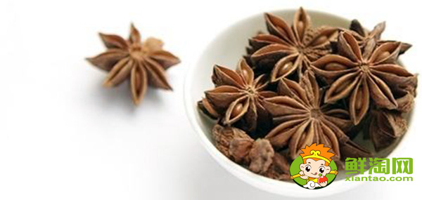 八角種子催芽方法,八角種子能有什么用途