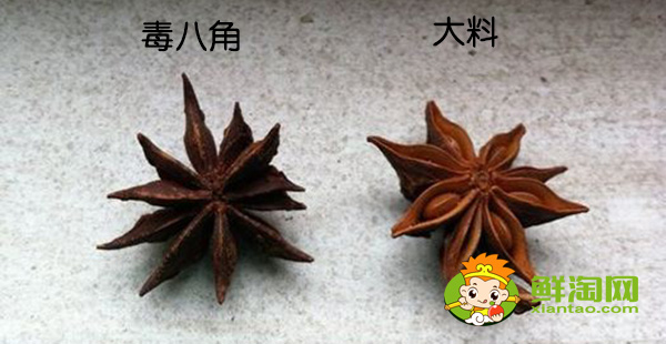 和八角味道一樣的香料是什么，毒八角和大料的區別
