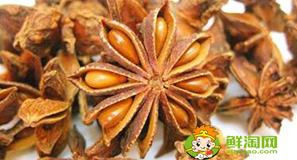 八角茴香什么時候采摘，八角茴香油怎么樣