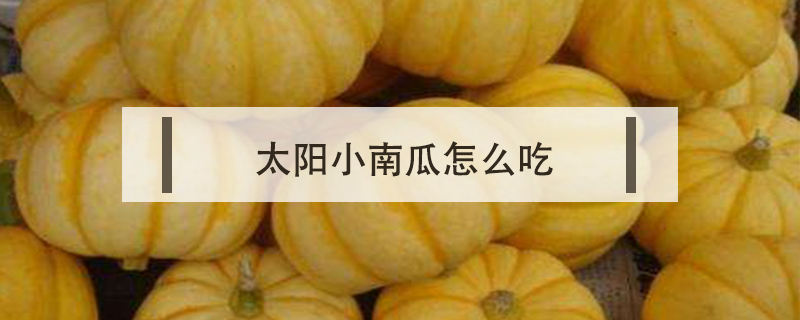 太陽小南瓜怎么吃