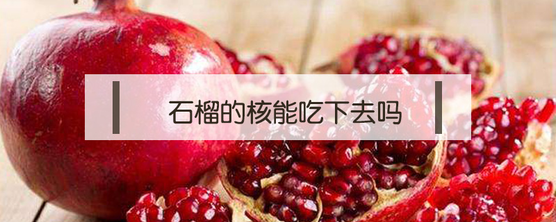 石榴的核能吃下去嗎
