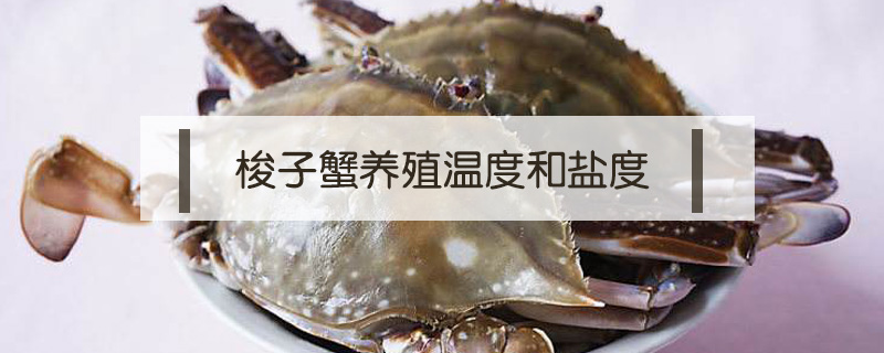 梭子蟹養(yǎng)殖溫度和鹽度
