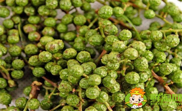 青花椒與藤椒區別，藤椒和青花椒哪個麻