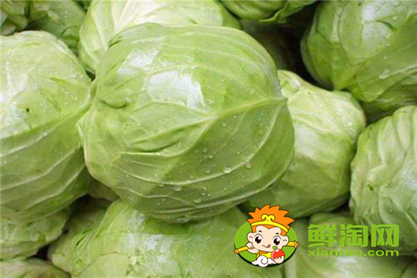 7月份可以種包菜嗎,礦石鎮(zhèn)卷心菜成熟時間