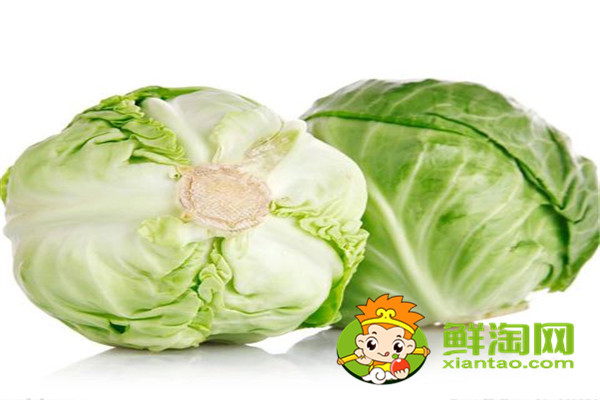 7月份可以種包菜嗎，礦石鎮(zhèn)卷心菜成熟時間