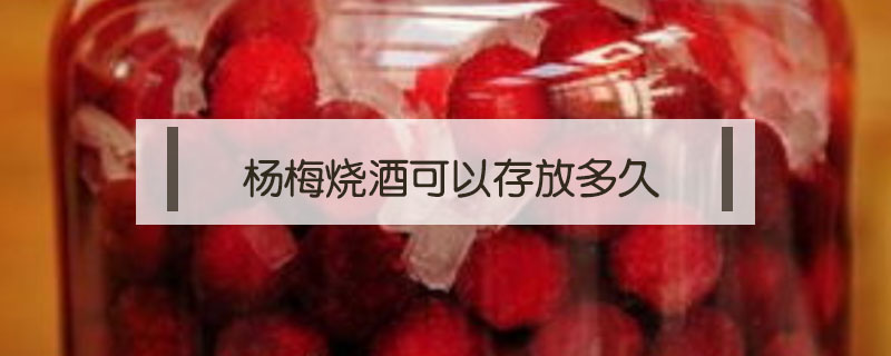 楊梅燒酒可以存放多久
