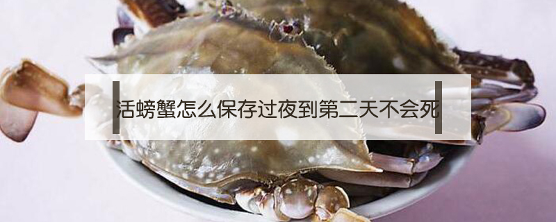 活螃蟹怎么保存過夜到第二天不會死
