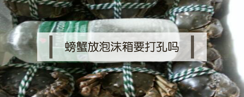 螃蟹放泡沫箱要打孔嗎