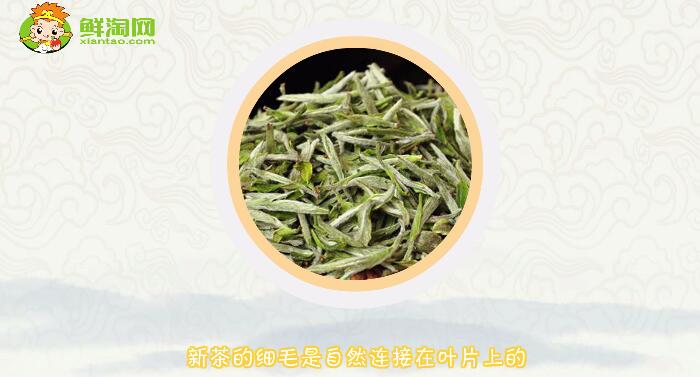 綠茶陳茶和新茶的區(qū)別