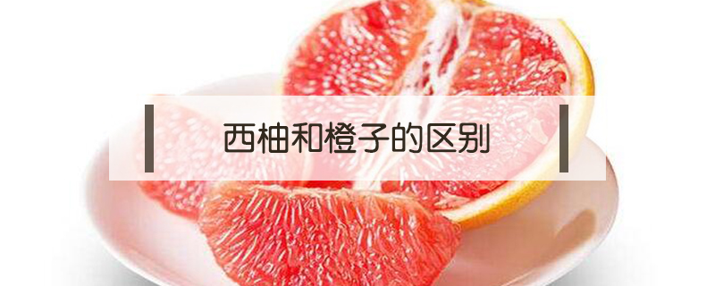 西柚跟紅心橙子的區別