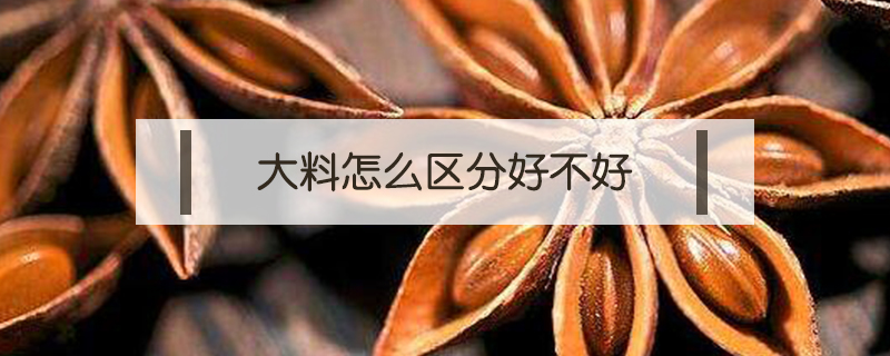 大料怎么區(qū)分好不好