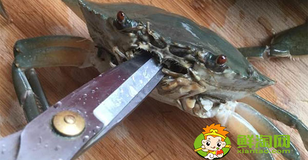 螃蟹怎么殺步驟分解圖