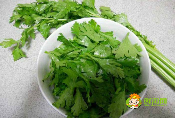 芹菜桿能蒸嗎，怎么蒸芹菜葉不粘