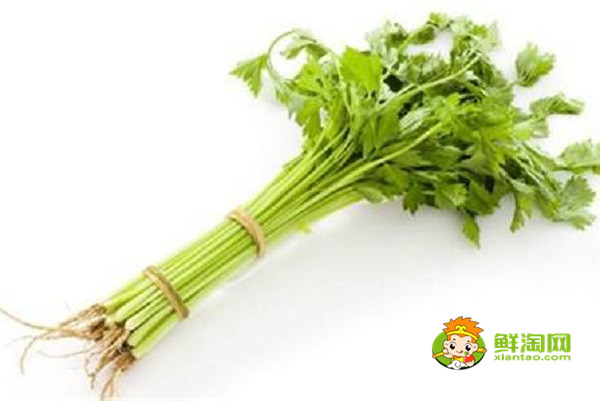 芹菜是什么季節的蔬菜,水芹是什么季節的菜