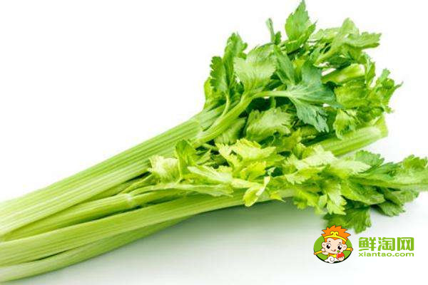 芹菜是什么季節的蔬菜,水芹是什么季節的菜