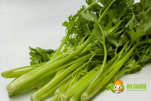 芹菜葉不焯水能吃嗎，新鮮芹菜葉怎么做好吃