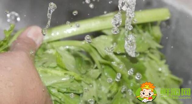 洗過的芹菜怎么保存，洗好的芹菜能放多久
