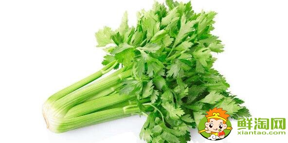 洗過的芹菜怎么保存，洗好的芹菜能放多久