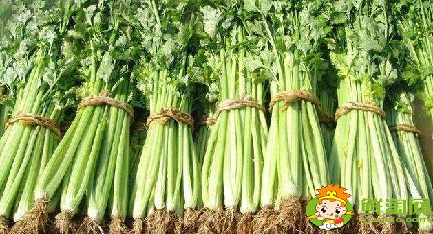 芹菜怎么處理比較脆，芹菜怎么處理沒有筋