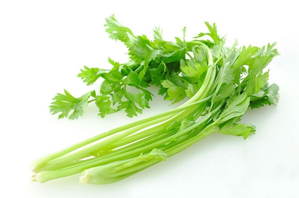 芹菜放冰箱軟了還能吃嗎，熟芹菜放冰箱能放幾天