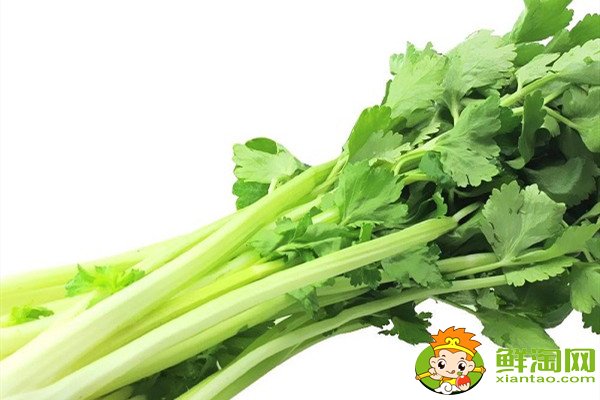 芹菜放久了有亞硝酸嗎?炒熟的芹菜第二天可以吃嗎