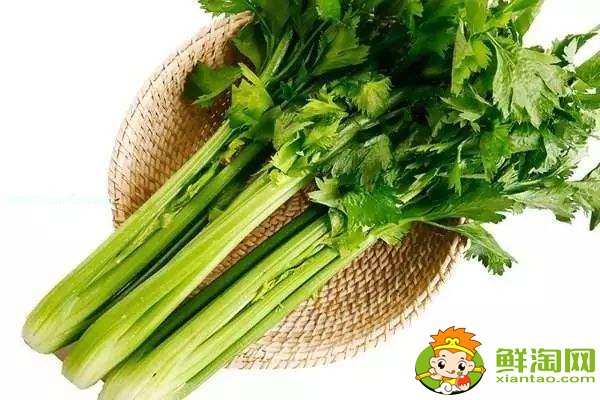 芹菜放冰箱軟了還能吃嗎,熟芹菜放冰箱能放幾天