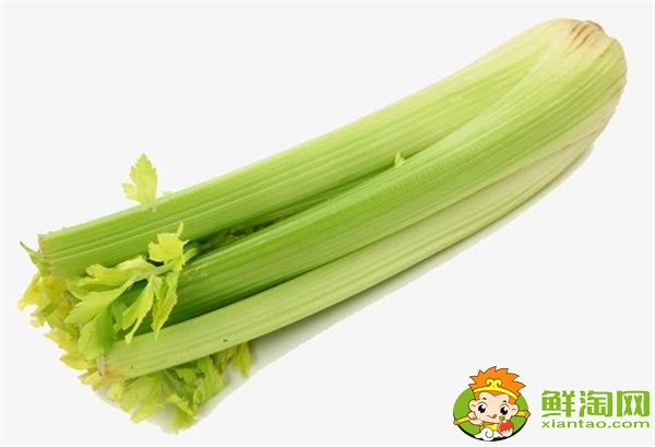 芹菜和西芹的區別，西芹和芹菜哪個營養好