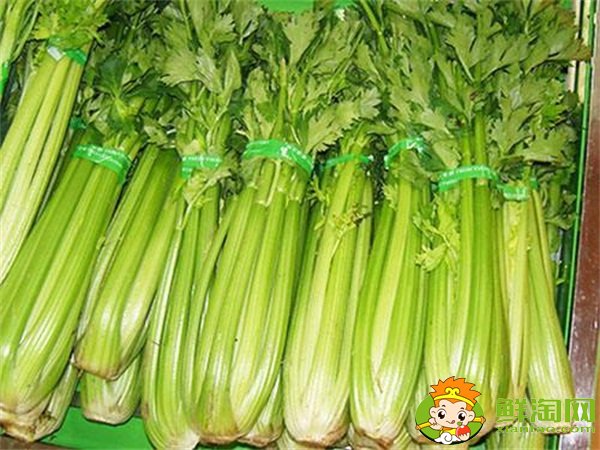 山東芹菜產(chǎn)地哪里有名，西芹哪里產(chǎn)的最好