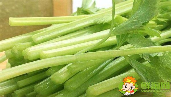 山東芹菜產(chǎn)地哪里有名，西芹哪里產(chǎn)的最好