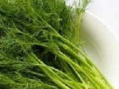 茴香菜長什么樣，茴香有幾種叫法