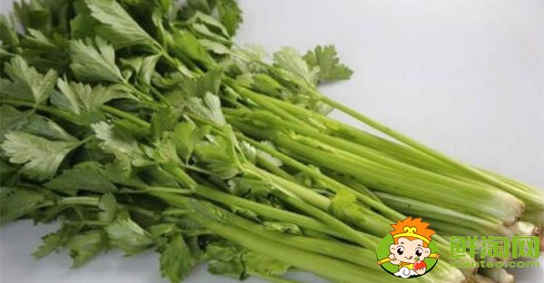山東芹菜的主要產地在哪，芹菜基地哪里最便宜