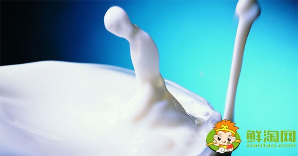 空腹喝牛奶能減肥嗎，空腹喝牛奶的危害