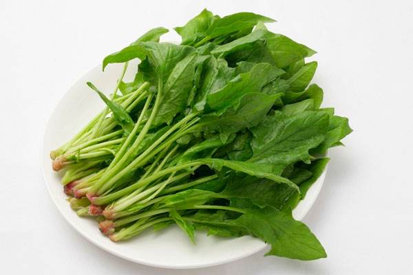 吃完菠菜要不要刷牙，為什么菠菜吃起來很澀口