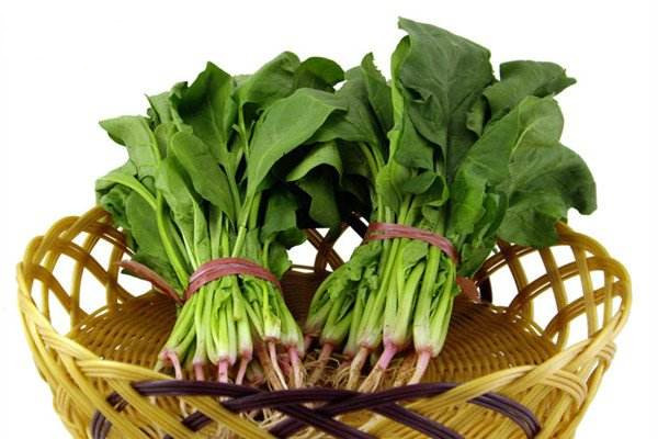 菠菜的食用部分屬于葉嗎，菠菜根吃了有什么好處