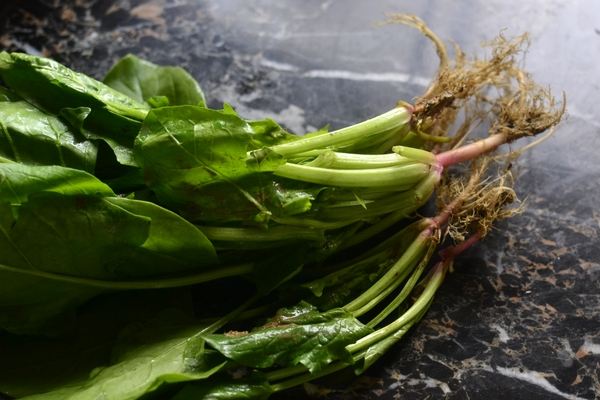 菠菜根色是什么顏色，蔥和菠菜的根有什么不同