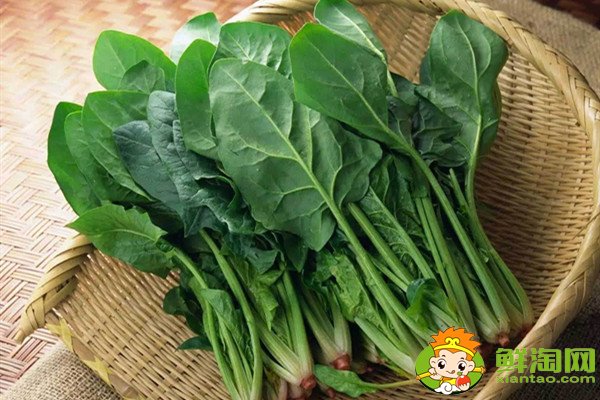 菠菜根色是什么顏色，蔥和菠菜的根有什么不同