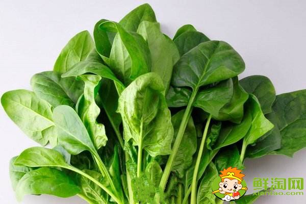 菠菜賤賣是什么梗，網絡語菠菜是什么意思