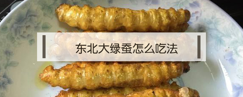 東北大綠蠶怎么吃法