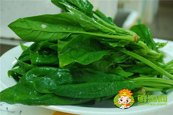 菠菜怎么煮出來又嫩又好吃，菠菜可以直接涮鍋嗎