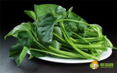 空心菜需要切斷嗎，炒空心菜幾分鐘熟