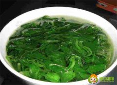 隔夜的菠菜湯能喝嗎，孕婦能吃菠菜嗎