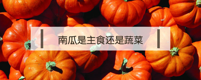 南瓜是主食還是蔬菜